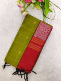 apple green raw silk top with red jamdhani duppata